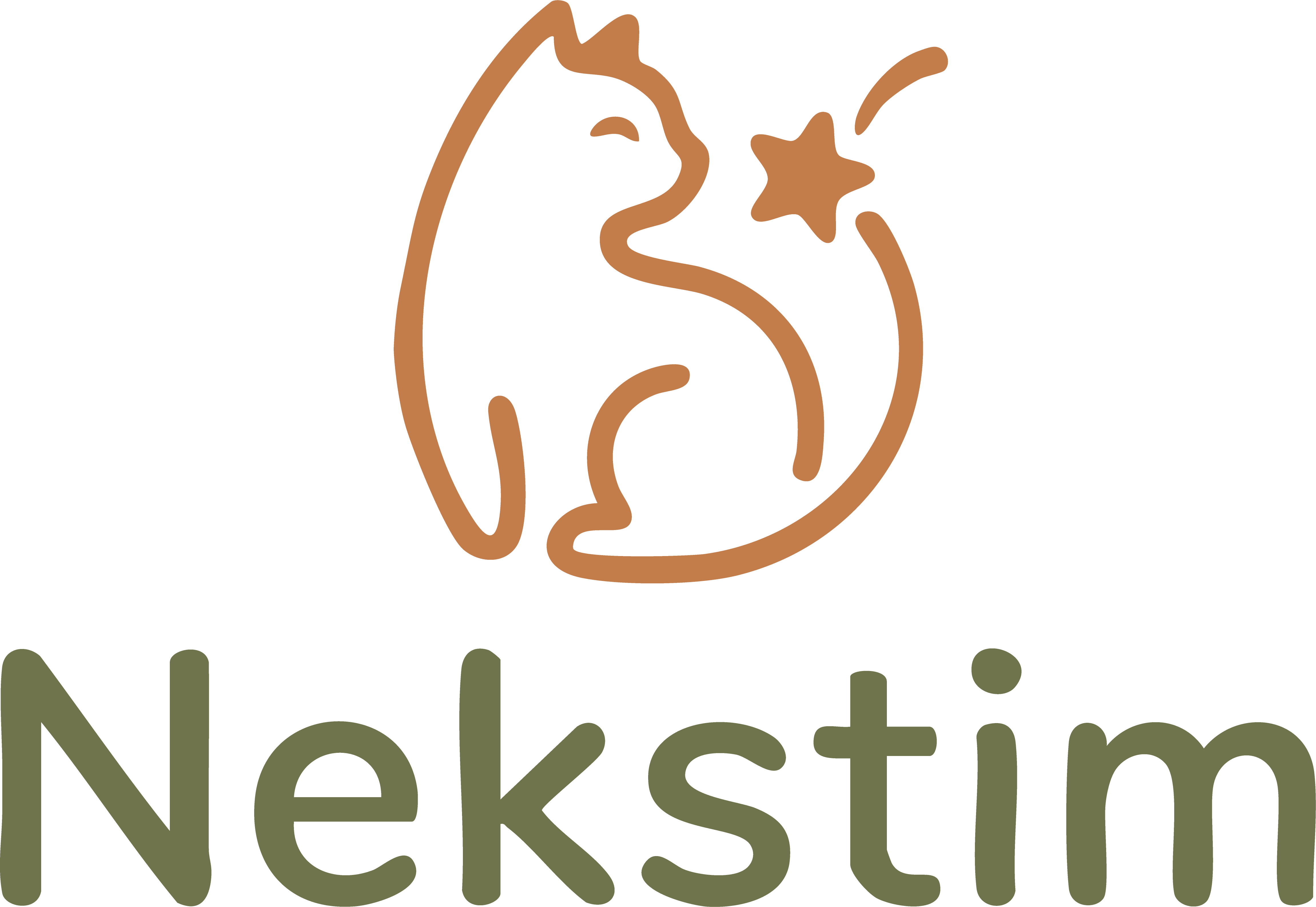 Nekstim